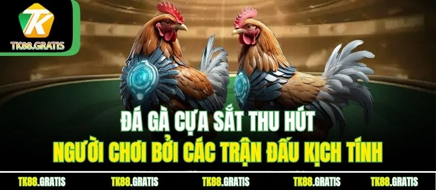 Đá Gà Cựa Sắt - Những Trận Đấu Kịch Tính, Hút Khách Cược Đá gà cựa sắt thu hút người chơi bởi các trận đấu kịch tính