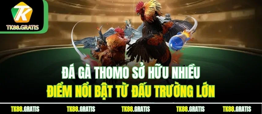 Đá Gà Thomo: Trận Đấu Kịch Tính, Cược Dễ Dàng Thưởng To Đá gà Thomo sở hữu nhiều điểm nổi bật từ đấu trường lớn