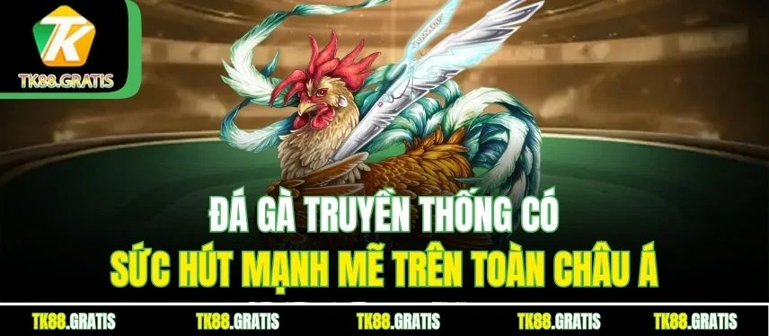 Đá Gà Truyền Thống - Những Trận So Tài Hay, Hút Thưởng Lớn Đá gà truyền thống có sức hút mạnh mẽ trên toàn châu Á
