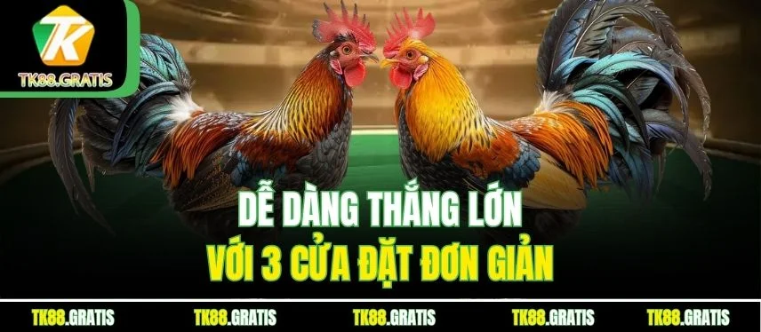 Đá Gà Cựa Sắt - Những Trận Đấu Kịch Tính, Hút Khách Cược Dễ dàng thắng lớn với 3 cửa đặt đơn giản