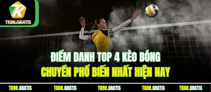 Bóng Chuyền Tk88 - Tham Gia Cá Cược Với Tỷ Lệ Kèo Hấp Dẫn Điểm danh top 4 kèo bóng chuyền phổ biến nhất hiện nay