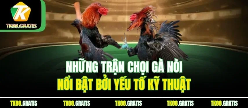 Đá Gà Truyền Thống - Những Trận So Tài Hay, Hút Thưởng Lớn Những trận chọi gà nòi nổi bật bởi yếu tố kỹ thuật