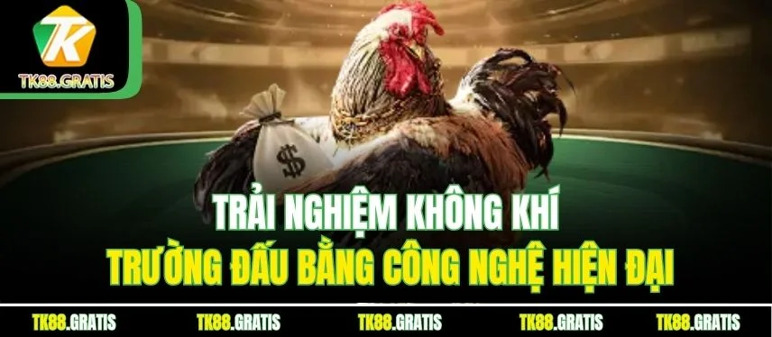 Đá Gà Truyền Thống - Những Trận So Tài Hay, Hút Thưởng Lớn Trải nghiệm không khí trường đấu bằng công nghệ hiện đại