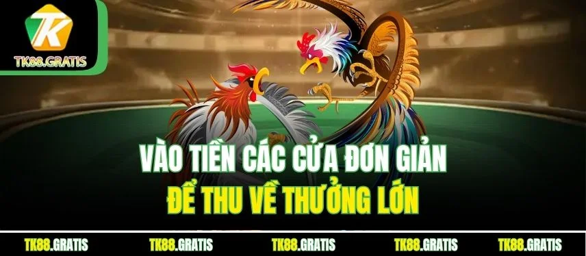 Đá Gà Cựa Dao - Sân Chơi Đối Kháng Thu Hút Cược Thủ TK88 Vào tiền các cửa đơn giản để thu về thưởng lớn